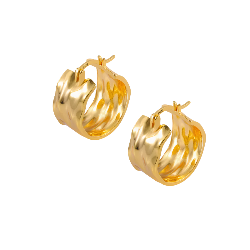Hoop Gold Earrings Hoop Gold Earrings